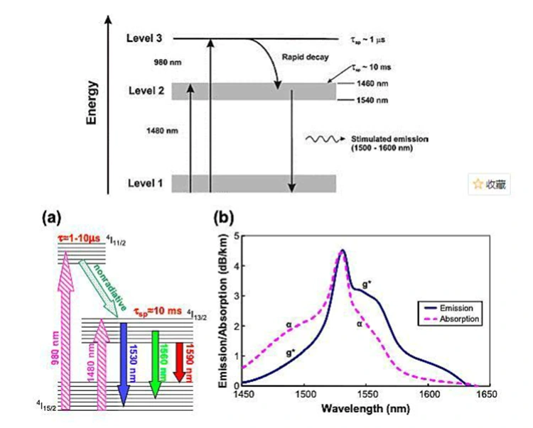 Erbium-Doped Fiber Amplifier (EDFA) ສໍາລັບການຂະຫຍາຍແສງ Erbium-Doped Fiber Amplifier (EDFA) ສໍາລັບການຂະຫຍາຍແສງ